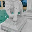 呼和浩特 白麻花岗岩动物异形石雕-大象